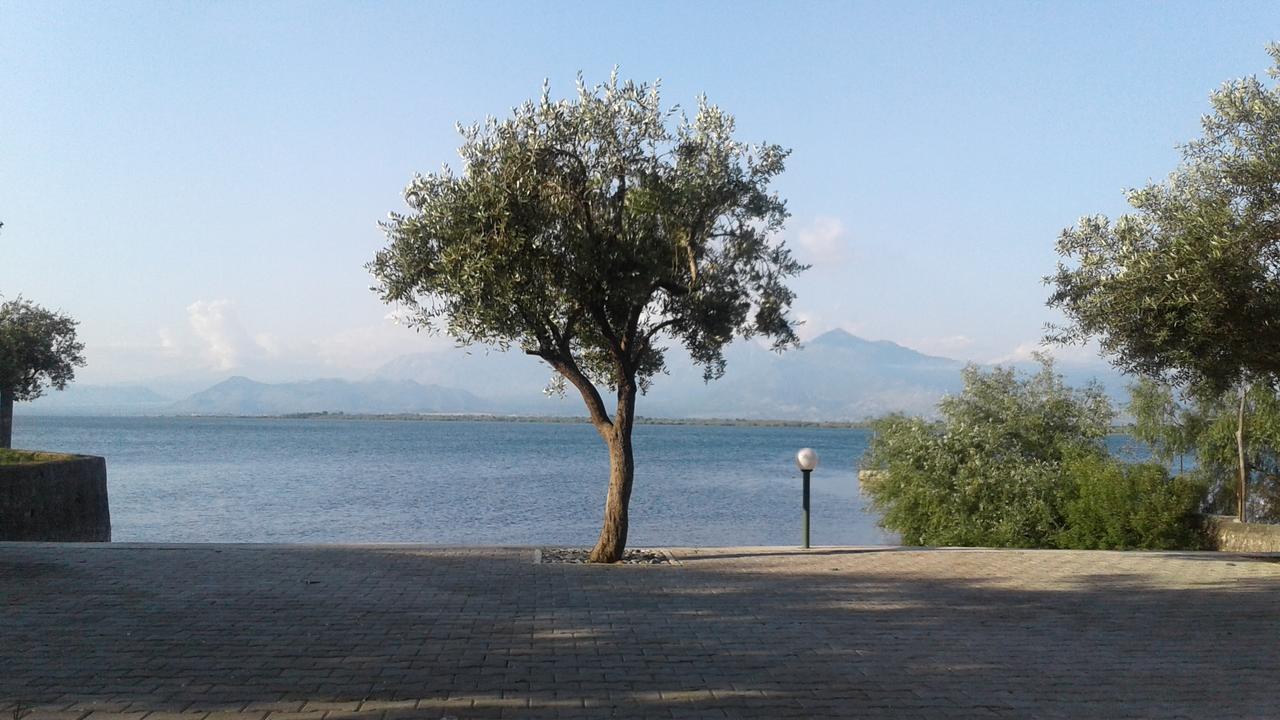 Hotel Shkodra Lake Široka 外观 照片