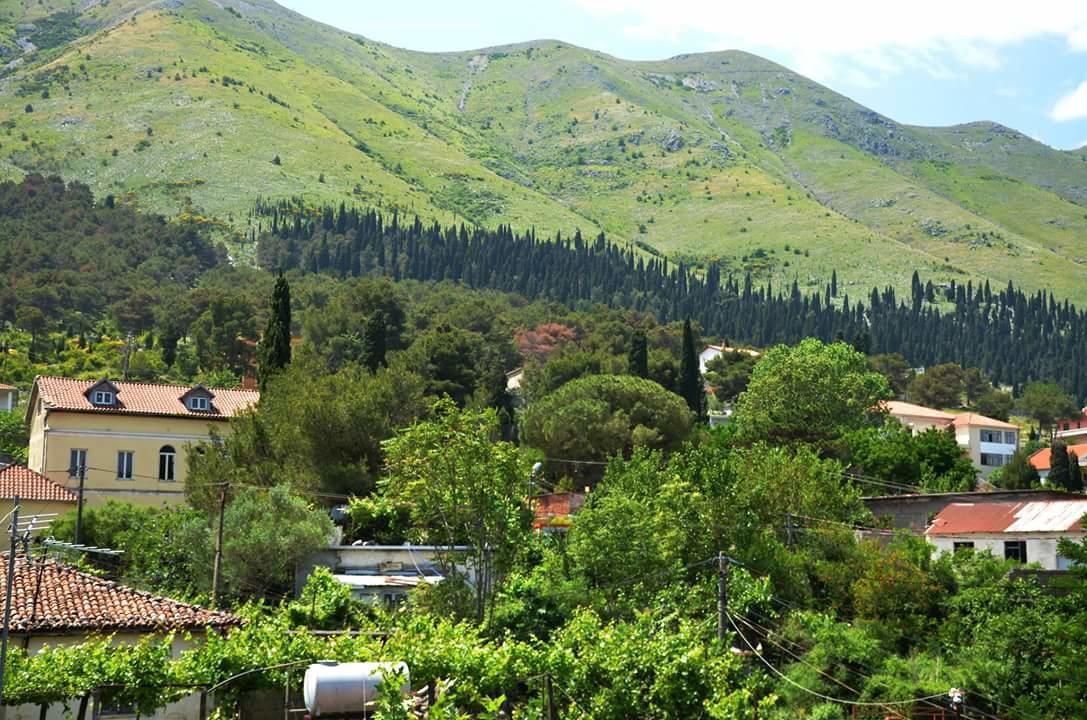 Hotel Shkodra Lake Široka 外观 照片